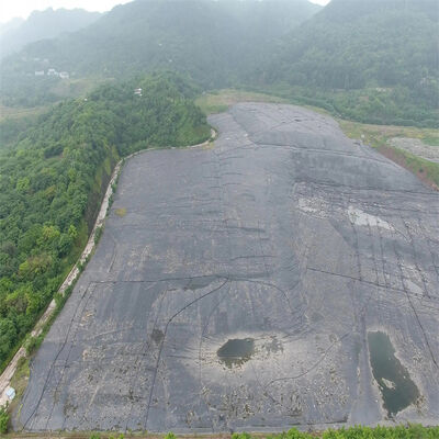 HDPE Geomembrane Liner Anti-Seepage Plastic Film for Pool Lake River Agriculture Dam Landfill Fish Farming Tank Molding