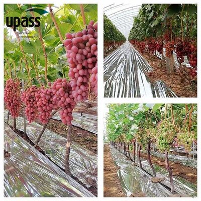 Strength Aluminum Foil Composite Ground Cover Film Reflective Agricultural Blow Molding Increasing Red Fruit Rate Fruit Trees