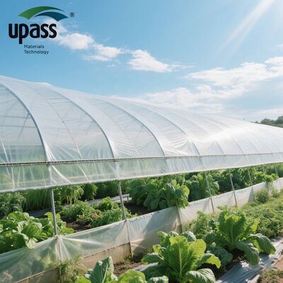 Fabrikadan Doğrudan UF508 Anti-UV Yaşlanma Karşıtı Tarım Sera Filmi 5000 Metrekare MOQ 100x55x55cm Rulo Şişirme Kalıplama Kesme